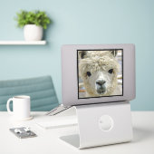 Alpaca Sticker (Laptop op bureau)