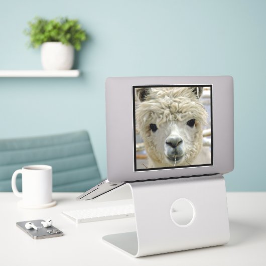 Alpaca Sticker (Laptop op bureau)