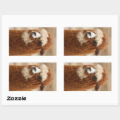 Alpaca-stickers Rechthoekige Sticker (Vel)