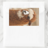 Alpaca-stickers Rechthoekige Sticker (Tas)
