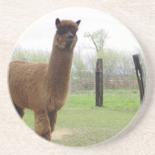Alpaca stud zandsteen onderzetter