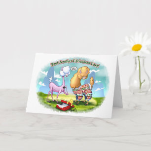 ALPACA SWEATER (mat) door Jeff Willis Art Kaart