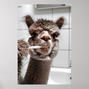 Alpaca Tanden Poetsen, Grappige Badkamer Muur Poster