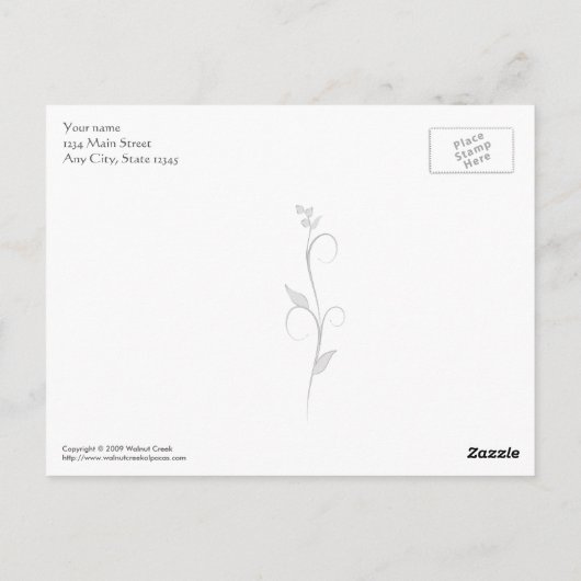 Alpaca Trail Briefkaart (Achterkant)