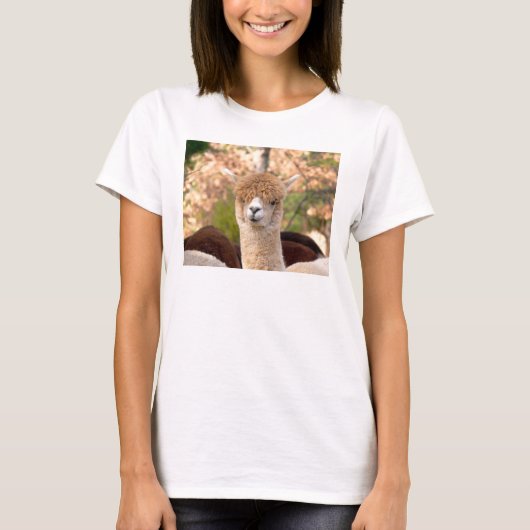 Alpaca tshirts (Voorkant)