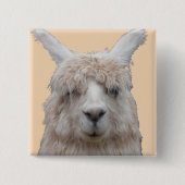 Alpaca uit Peru  Button (Voorkant)