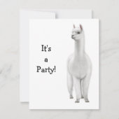 Alpaca Uitnodiging (Voorkant)