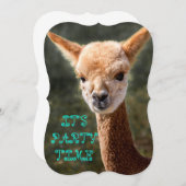 Alpaca Uitnodiging (Voorkant / Achterkant)