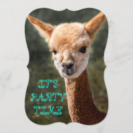 Alpaca Uitnodiging