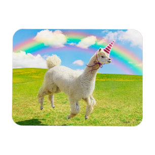 Alpaca Unicorn onder regenbooghemel Magneet