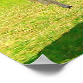 Alpaca Unicorn onder regenbooghemel Poster (Hoek)