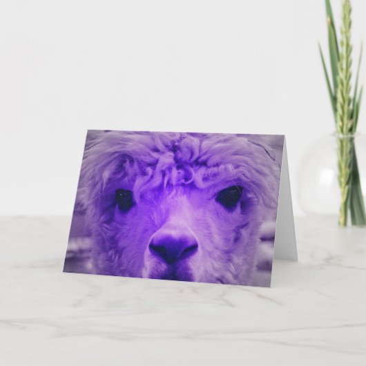 Alpaca van een andere kleur kaart (Voorkant)