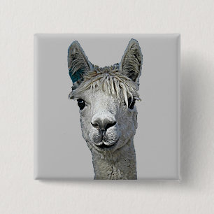 Alpaca Vierkante Button 5,1 Cm