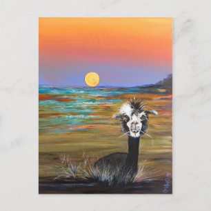 Alpaca - Vincent briefkaart
