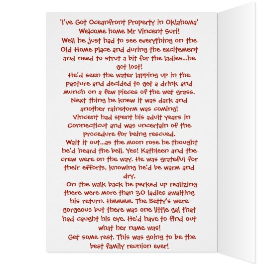 Alpaca - Vincent met verhaalkaart (Binnen (Links))