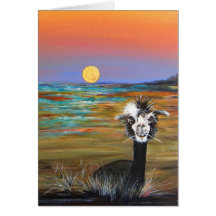 Alpaca - Vincent met verhaalkaart