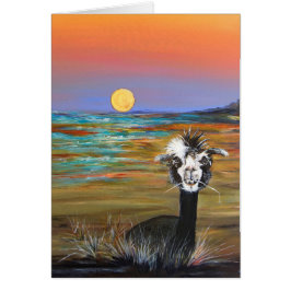 Alpaca - Vincent met verhaalkaart