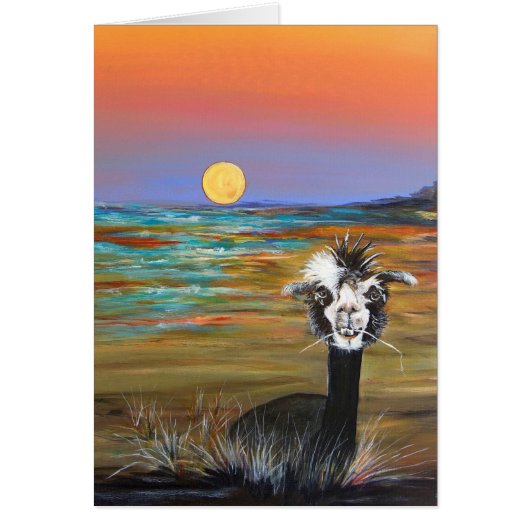 Alpaca - Vincent note card (Voorkant)