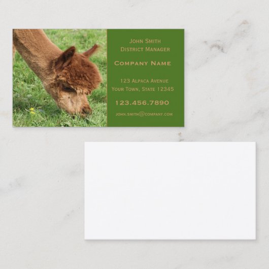 Alpaca Visitekaartje (Voorkant / Achterkant)