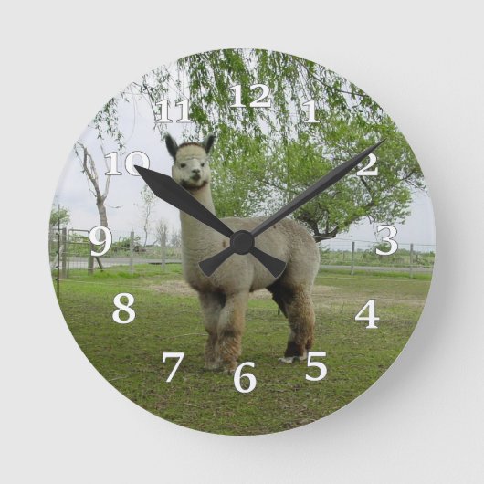 Alpaca Wall Clock Ronde Klok (Voorkant)