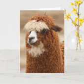 Alpaca-wenskaart Kaart (Gele Bloem)