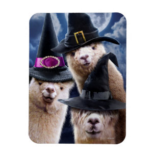 Alpaca Witches Magneet