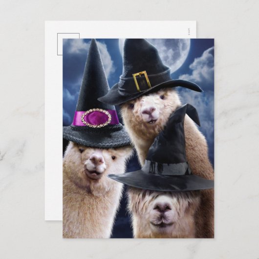 Alpaca Witches Uitnodiging Briefkaart (Voorkant / Achterkant)