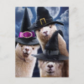 Alpaca Witches Uitnodiging Briefkaart (Voorkant)