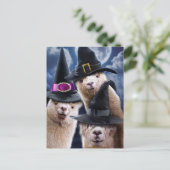 Alpaca Witches Uitnodiging Briefkaart (Staand voorkant)
