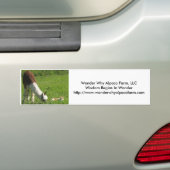 Alpaca Wonder Bumpersticker (Op auto)