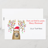  Alpaca Xmas-fotokaart Feestdagenkaart (Voorkant / Achterkant)
