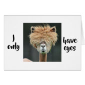 ALPACA ZEGT: "IK HEB ALLEEN OGEN VOOR JULLIE" VAN  (Voorkant Horizontaal)