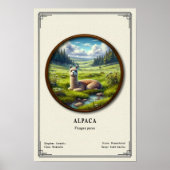 Alpaca Zoölogie Serie Poster (Voorkant)