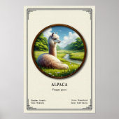 Alpaca Zoölogie Serie Poster (Voorkant)