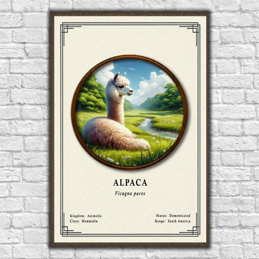 Alpaca Zoölogie Serie Poster