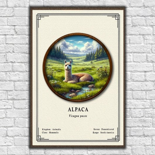 Alpaca Zoölogie Serie Poster