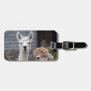 Alpacas Bagagelabel