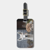 Alpacas Bagagelabel (Voorkant verticaal)
