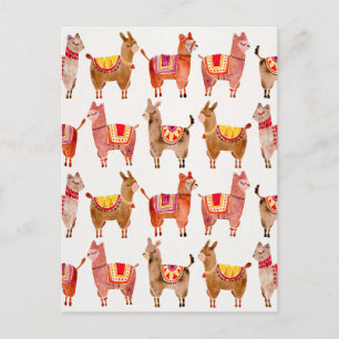 Alpacas Briefkaart