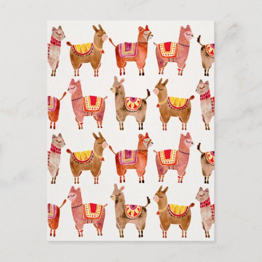 Alpacas Briefkaart (Voorkant)