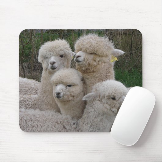 Alpacas Closeup Muismat (Met muis)