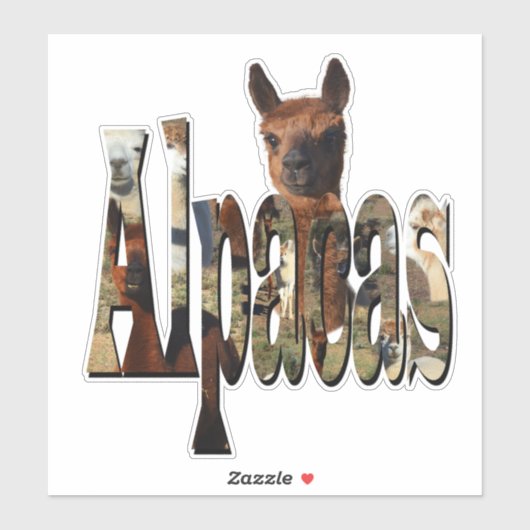 Alpacas: een harige vriend achter de naam sticker (Vel)