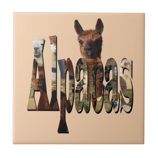 "Alpaca's: Een Harige Vriend Achter de Naam" Tegeltje (Voorkant)