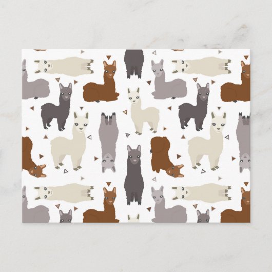 Alpacas Geo Pattern Briefkaart (Voorkant)
