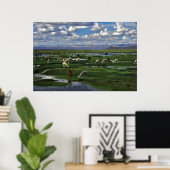 Alpacas in de Andes Poster (Thuiskantoor)