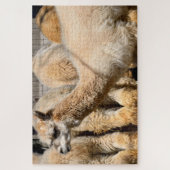 Alpaca's in het boerderij legpuzzel (Verticaal)