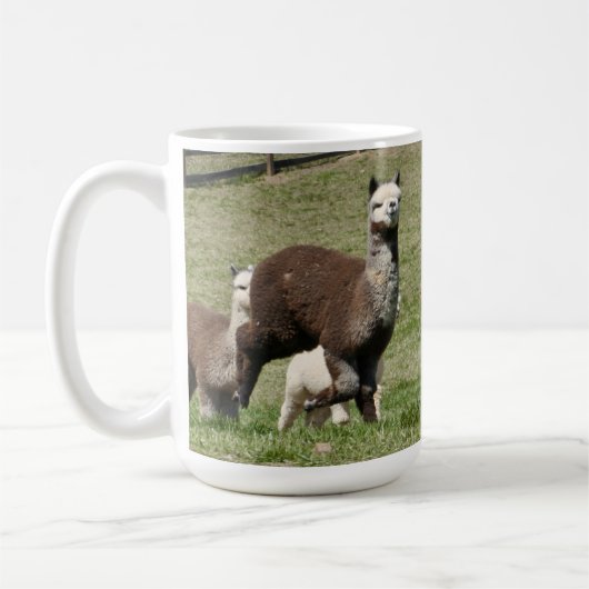 Alpacas in Motion Mok (Links)