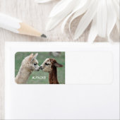 Alpacas label (Insitu)