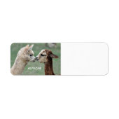 Alpacas label (Voorkant)
