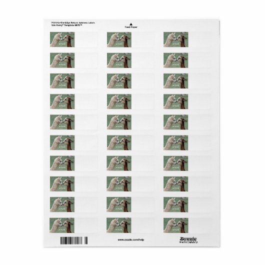 Alpacas label (Full Sheet)